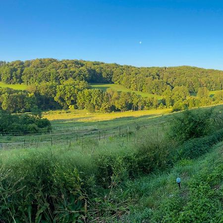 Bauernhof Fuer Naturliebhaber Bucha  Zewnętrze zdjęcie