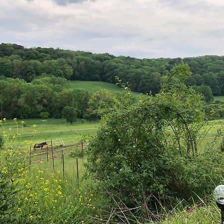 Bauernhof Fuer Naturliebhaber Bucha  Zewnętrze zdjęcie