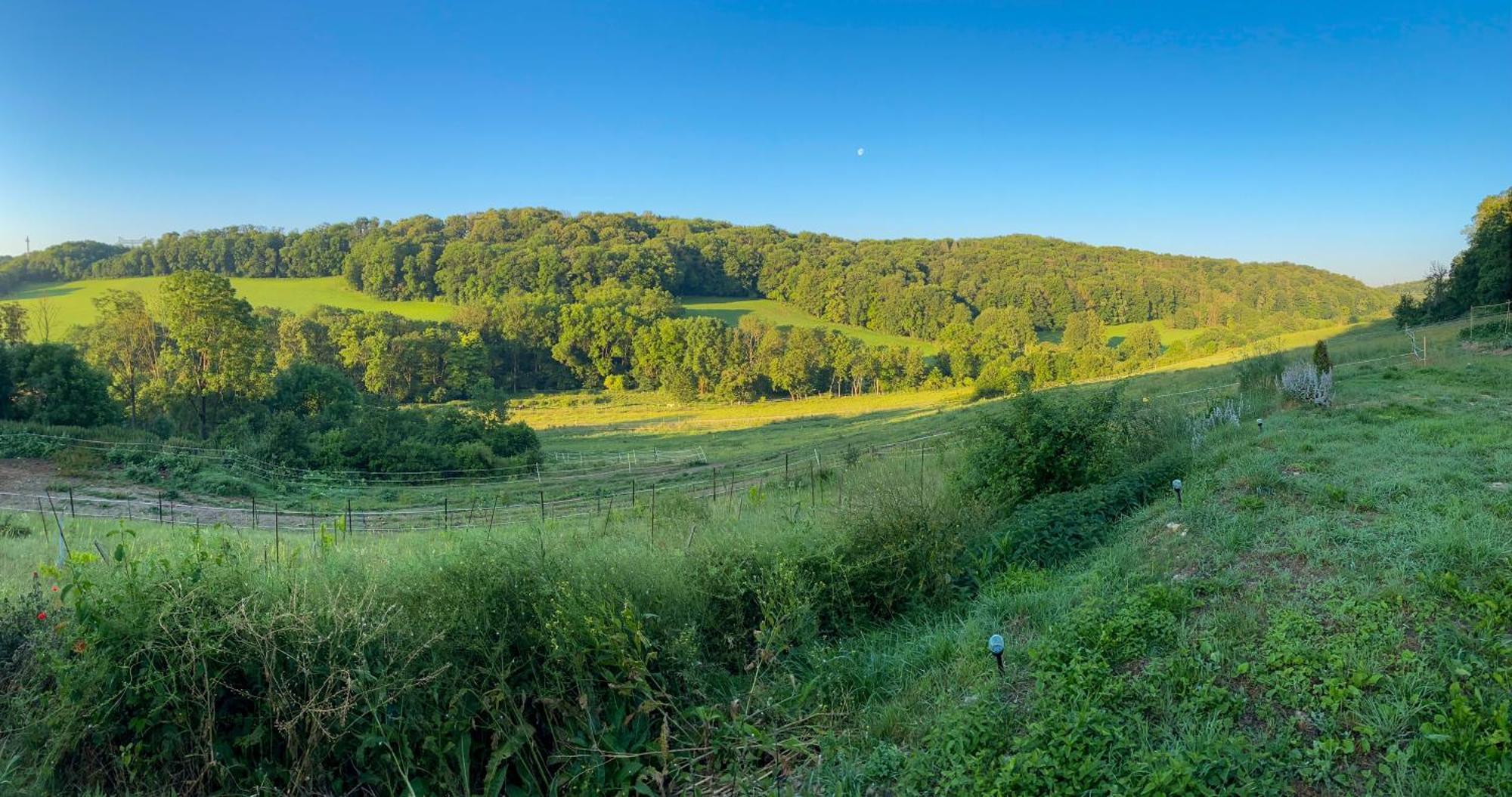 Bauernhof Fuer Naturliebhaber Bucha  Zewnętrze zdjęcie