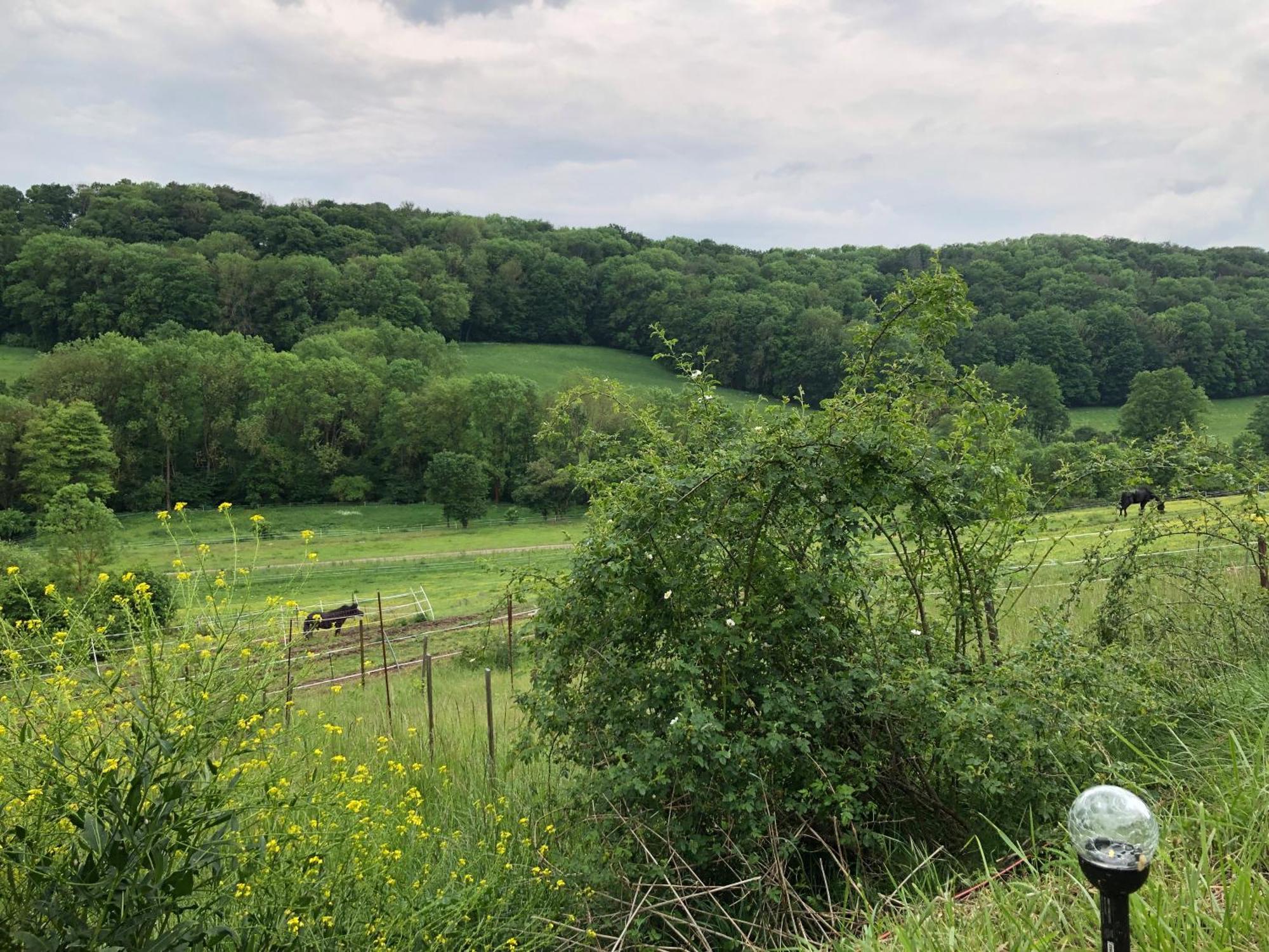 Bauernhof Fuer Naturliebhaber Bucha  Zewnętrze zdjęcie